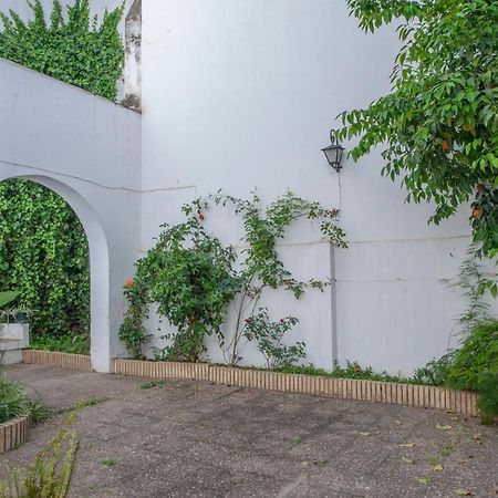 O&L Aire - Spacious And Bright Apartment In The Heart Of Sevilla Bagian luar foto